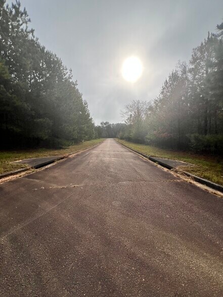 More Photos Of 0 St. Lucia Sunrise, Conyers Land For Sale