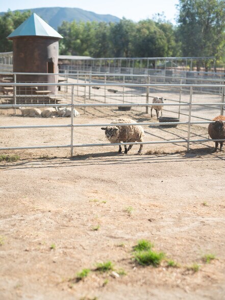 More Photos Of 38831 Pauba Rd, Temecula Land For Sale