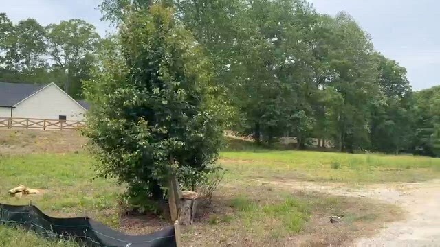 Primary Photo Of 405 Cooper Bridge Rd, Braselton Land For Sale