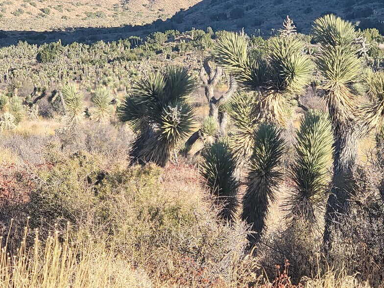 More Photos Of 300 E Ave Z12 East Ave, Llano Land For Sale