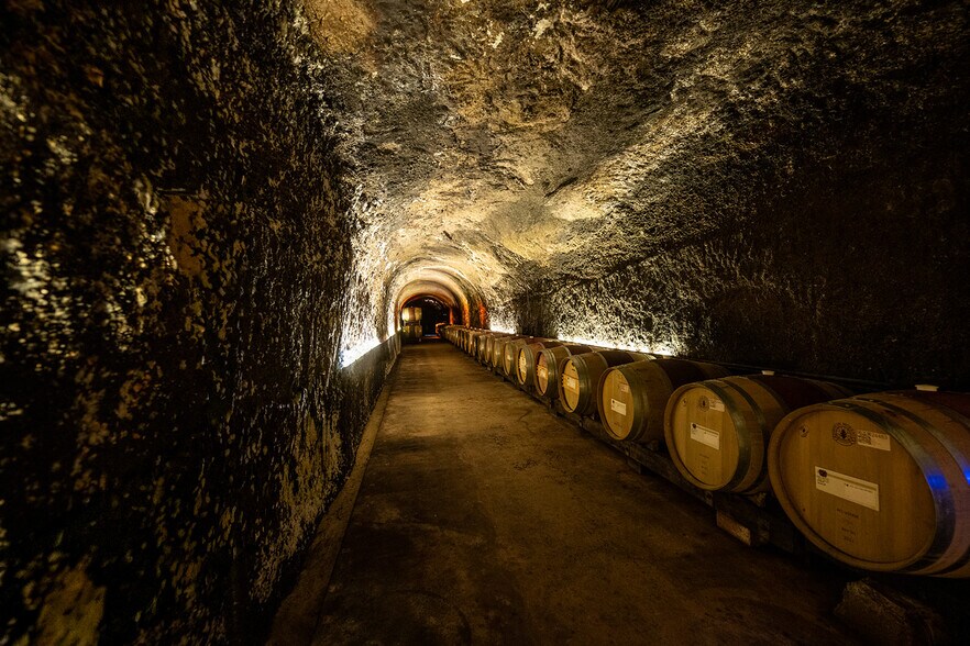 More Photos Of 1019-1091 Atlas Peak Rd, Napa Winery Vineyard For Lease