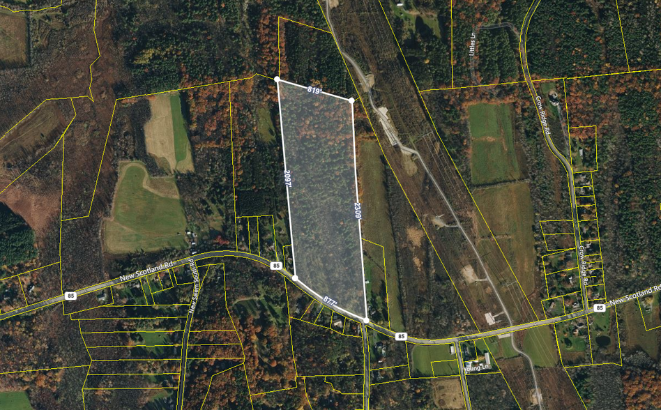 Primary Photo Of New Scotland Rd, Slingerlands Land For Sale