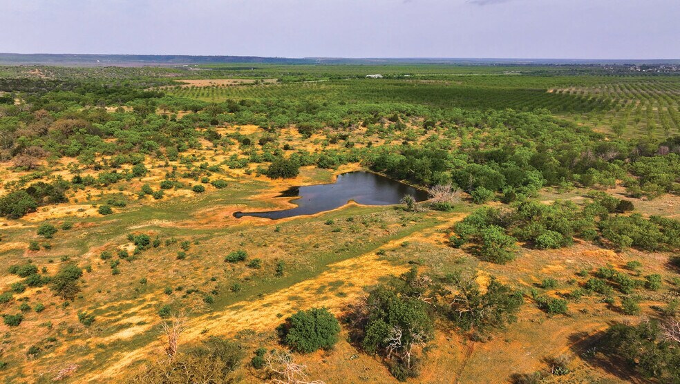 More Photos Of 450 County Road 417, Goldthwaite Land For Sale