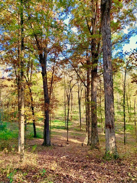 More Photos Of 1882 Barber Creek Rd, Statham Land For Sale