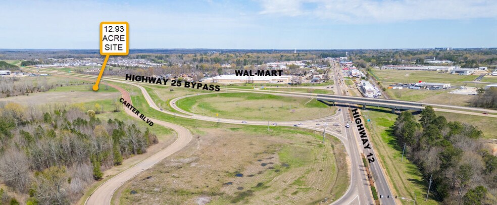 More Photos Of W side Hwy 25 and Carter blvd, Starkville Land For Sale