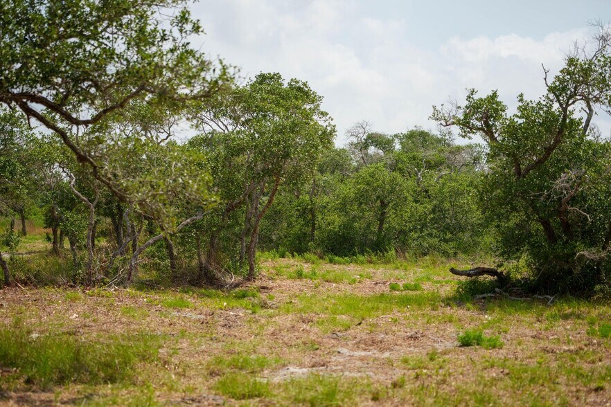 More Photos Of 704 South Highway 35 Byp, Rockport Land For Sale