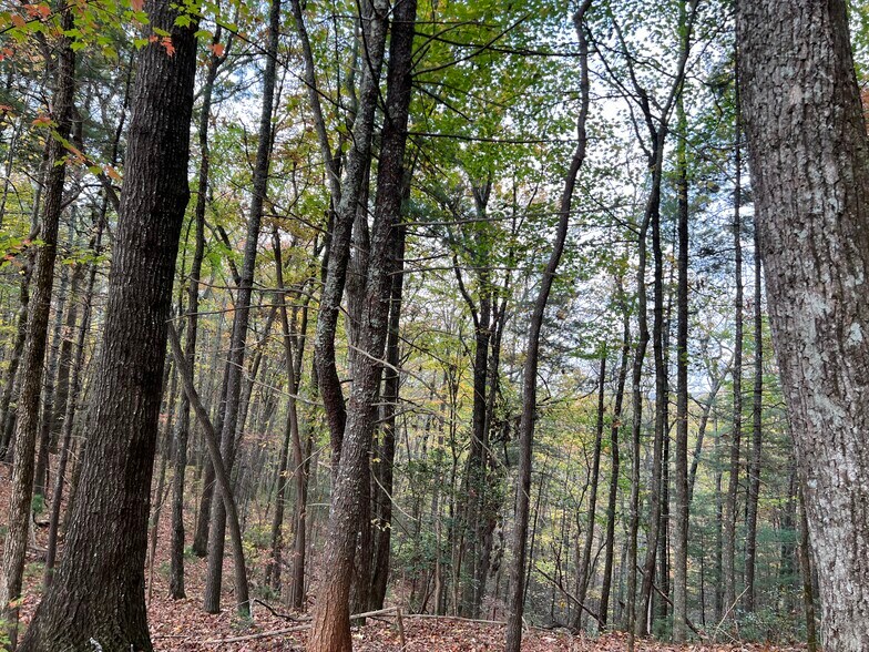More Photos Of Whitecliff Drive, Ellijay Land For Sale