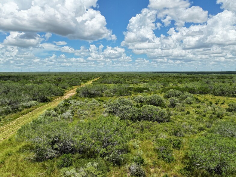 More Photos Of Las Brisas Road, Rio Grande City Land For Sale