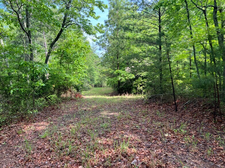 More Photos Of 395 Able rd, Waleska Land For Sale