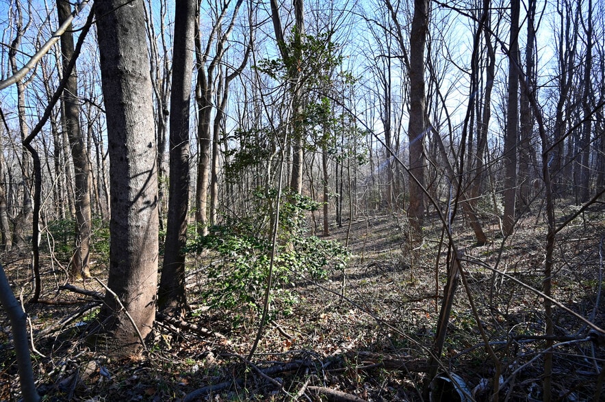 More Photos Of Richard Allen St, Aquasco Land For Sale