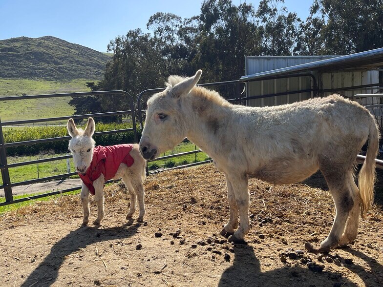 More Photos Of 1498 Oconnor Way, San Luis Obispo Land For Sale