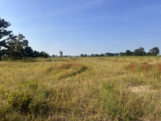 More Photos Of 9520 S State Route 78, Ridgely Service For Sale