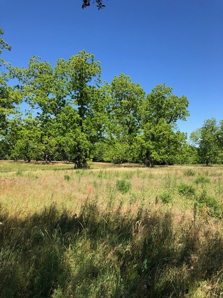 More Photos Of 12538 Bodenhamer Road, Foley Land For Sale