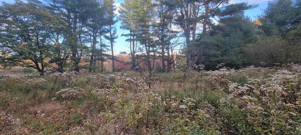 More Photos Of 1195 State Route 17B, Bethel Land For Sale