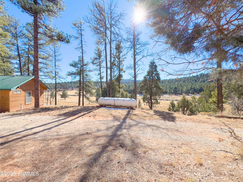 More Photos Of 2773 US Highway 82, Mayhill Hospitality For Sale