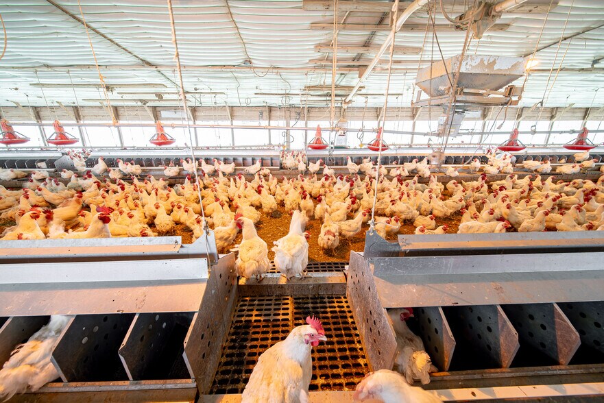 More Photos Of 1291 Myron Hart Rd, Coolidge Land For Sale