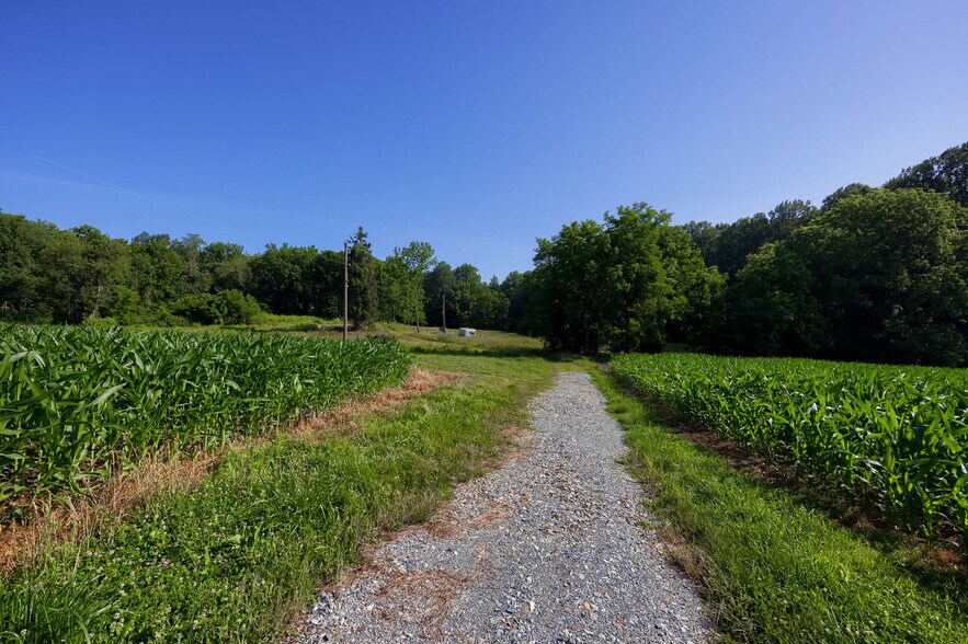 More Photos Of 267 Cook Rd, Delta Land For Sale