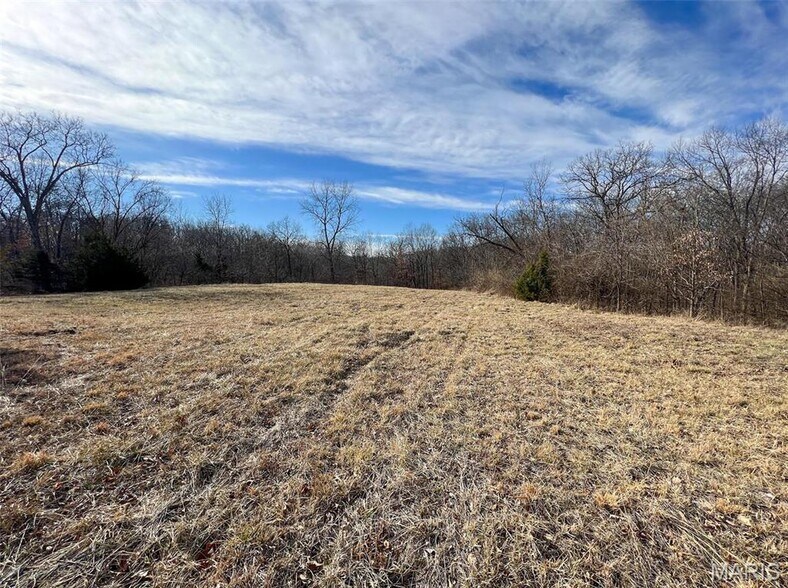 More Photos Of 31 S Highway 19, New Florence Land For Sale