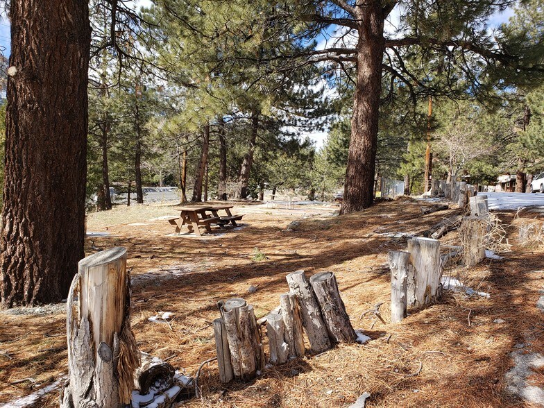 More Photos Of 1054-1098 State Highway 2, Wrightwood Hospitality For Sale