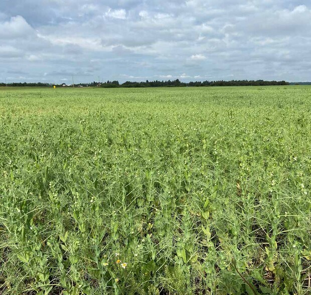 More Photos Of 23404 Township Rd 554, Sturgeon County Land For Sale
