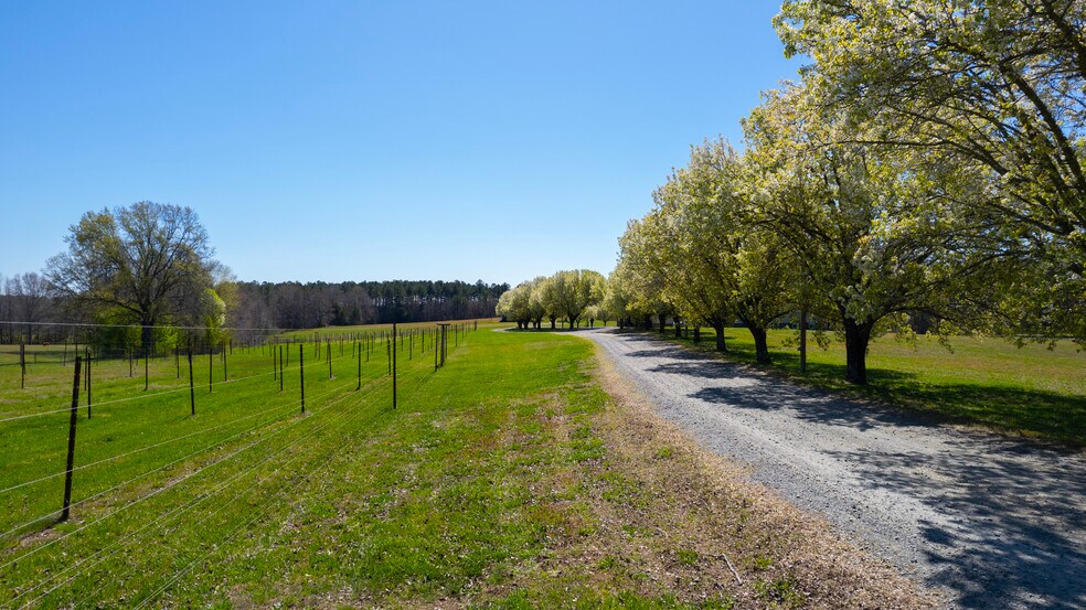 More Photos Of 3200 Bliss Trail, Stem Lodge Meeting Hall For Sale