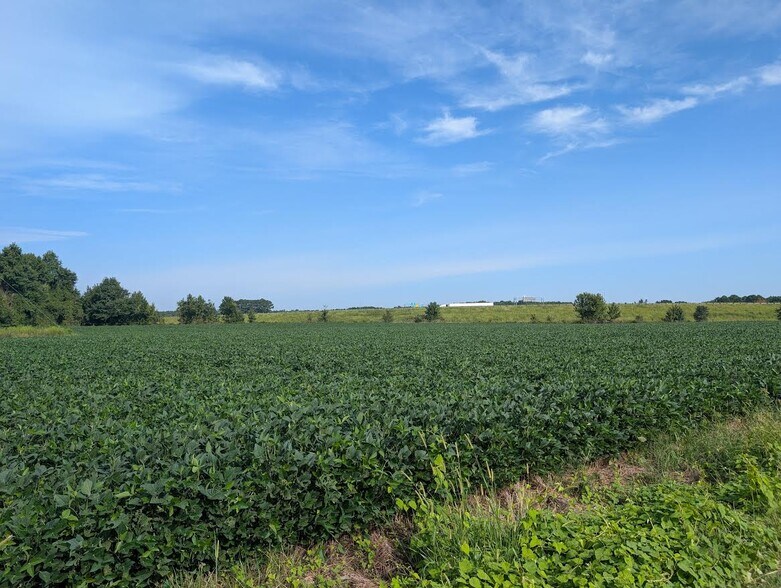 More Photos Of Dallas Rd, Lumberton Land For Sale