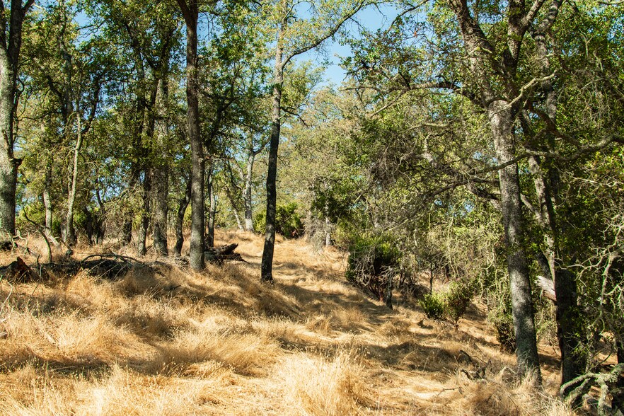 More Photos Of 4471 Buena Vista Rd, Ione Land For Sale