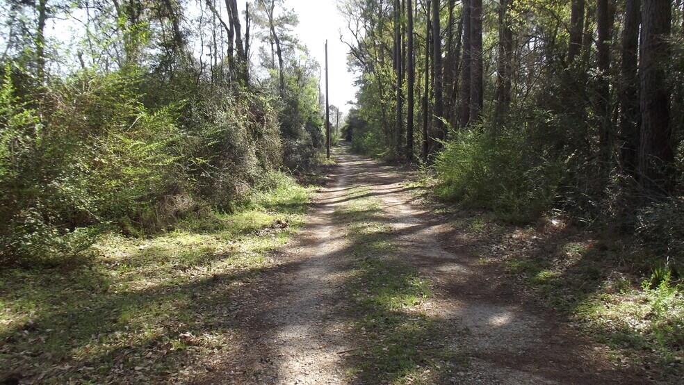 More Photos Of 24030 Hegar Rd, Hockley Land For Sale