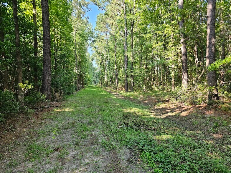 More Photos Of 2960 Julius Robertson Rd, Mount Pleasant Specialty For Sale