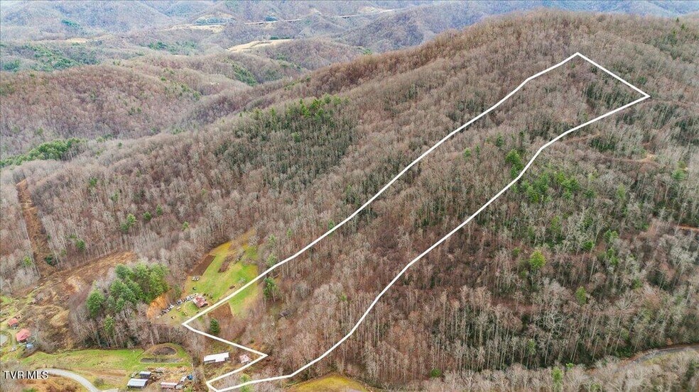 More Photos Of TBD Stockton Rd rd, Flag Pond Land For Sale
