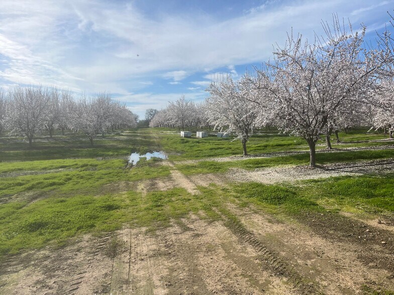 More Photos Of 0 Twin Cities rd, Herald Land For Sale