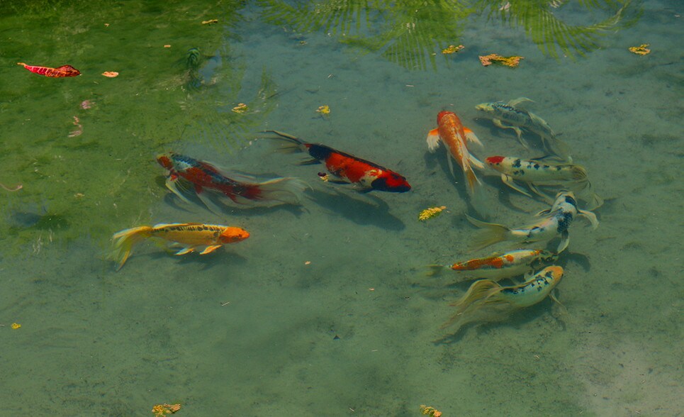 More Photos Of 23601 SW 187th Ave, Homestead Specialty For Sale