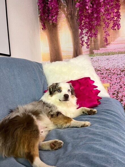 More Photos Of 223 NW Oneil way, Redmond Shelter For Sale