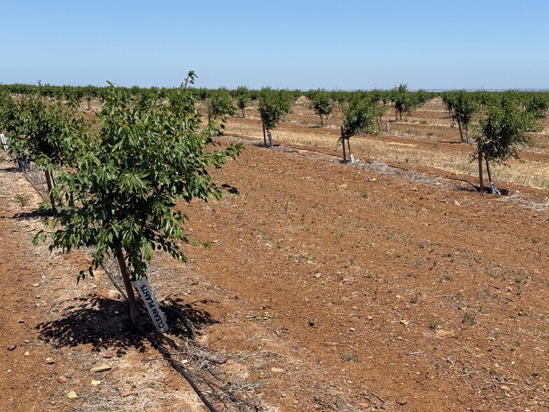 More Photos Of 0 Little Panoche Road, Firebaugh Land For Sale