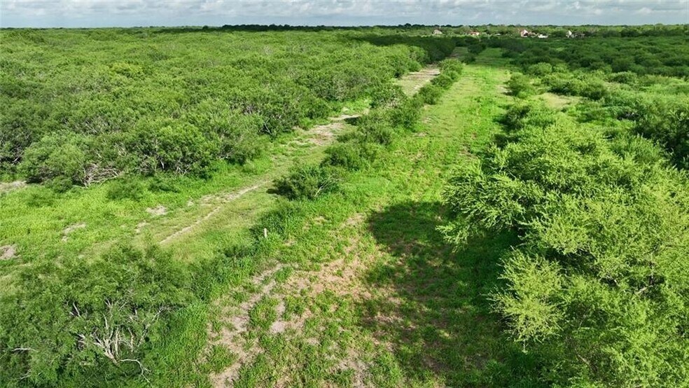 More Photos Of CR 2170, Ricardo Land For Sale