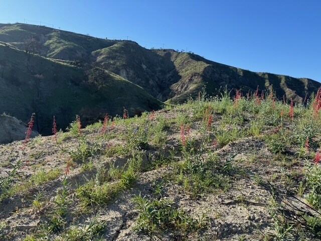 More Photos Of 31029 Hasley Canyon Rd, Castaic Land For Sale