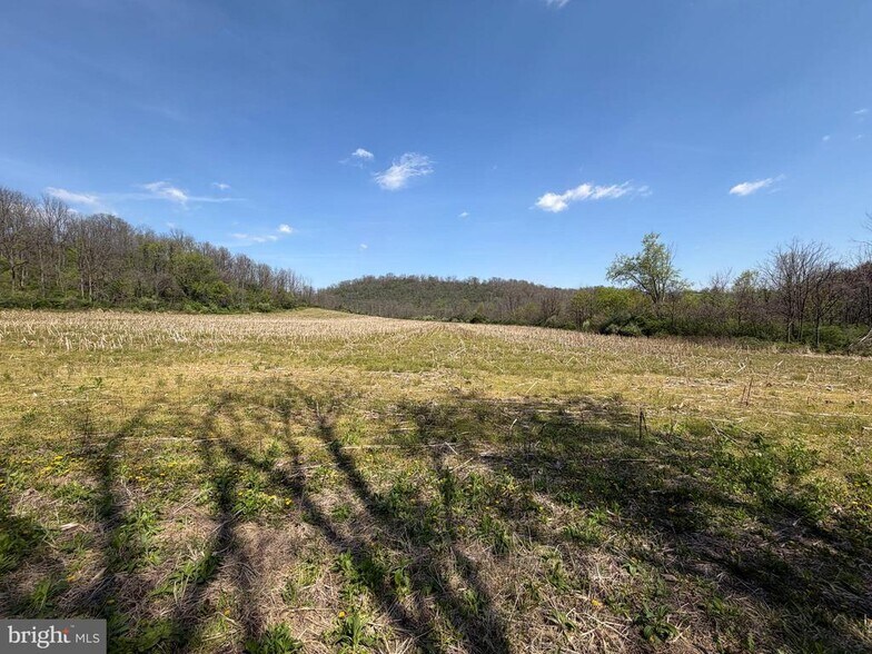 More Photos Of 3581 Union Furnace Rd, Tyrone Land For Sale