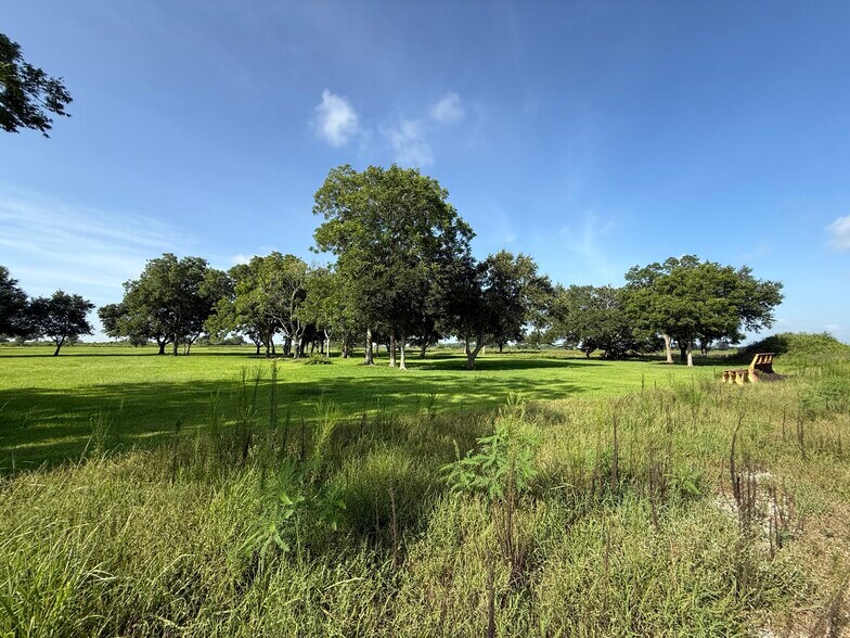 More Photos Of 525 Olede Devillier Road, Winnie Land For Sale