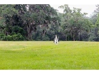 Primary Photo Of 2984 Wateroak Plantation, Tallahassee Land For Sale