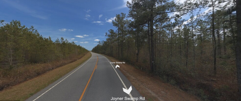More Photos Of 0000 Joyner Swamp Rd, Galivants Ferry Land For Sale