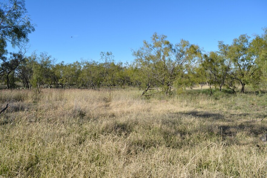 More Photos Of CR 1329, Paint Rock Land For Sale