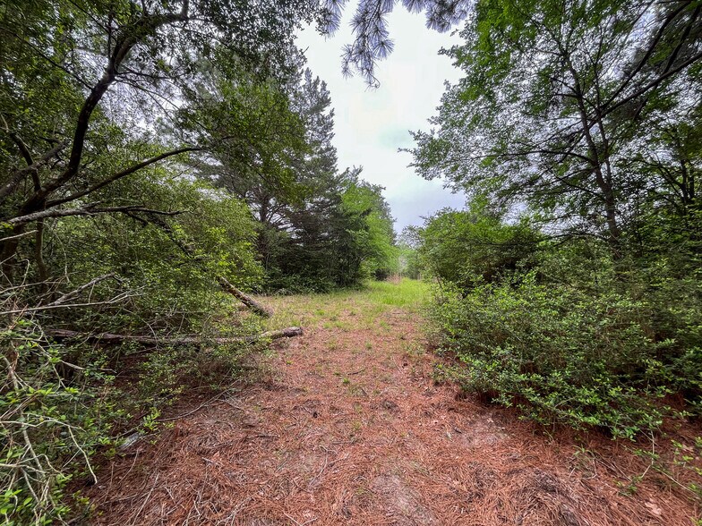 More Photos Of 8 Ranchero Rd, College Station Land For Sale
