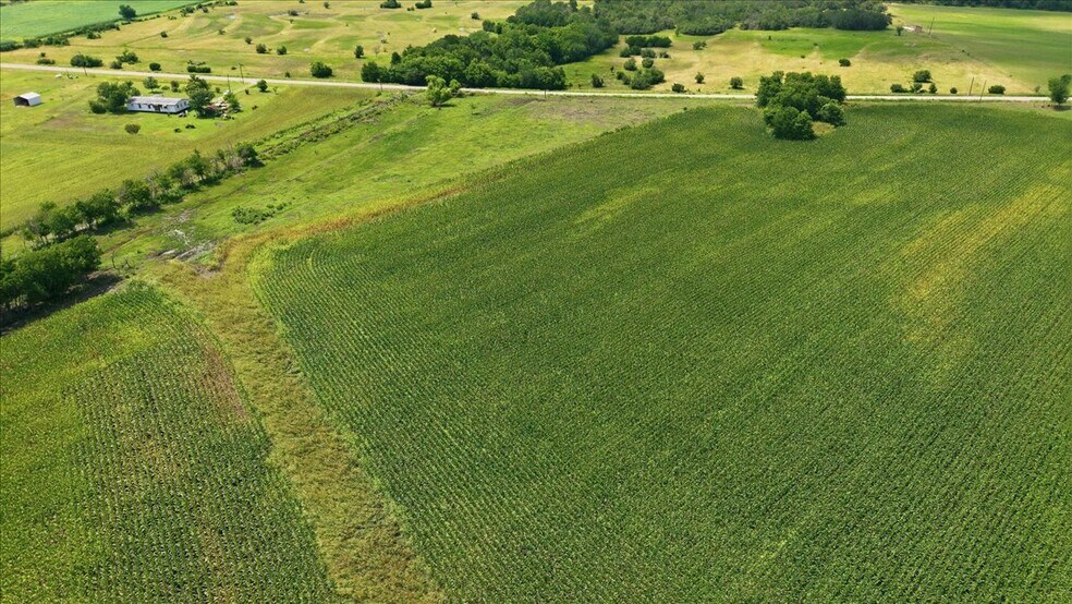 More Photos Of County Road 319, Granger Land For Sale