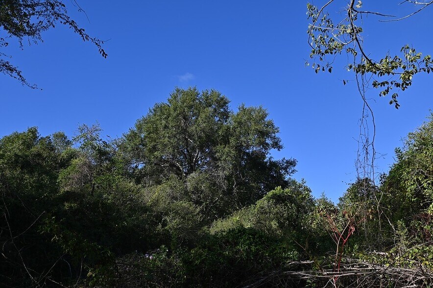 More Photos Of Jozwiak Ln, Hempstead Land For Sale