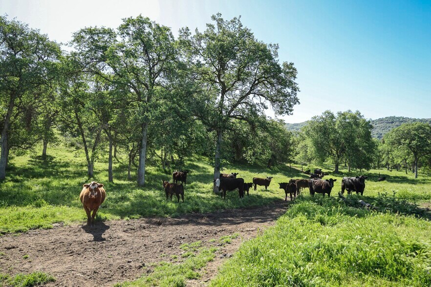 More Photos Of Dry Creek Drive, Badger Land For Sale