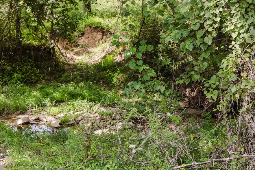 More Photos Of 7438 Bagdad Rd, Bagdad Land For Sale
