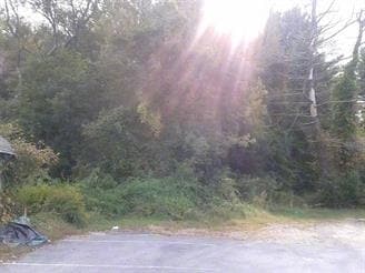 More Photos Of W Thompson Rd & Riverside Dr, Thompson Land For Sale