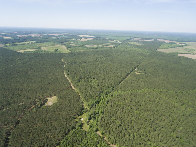 More Photos Of I-95 Site Mega Site, Gable Land For Sale