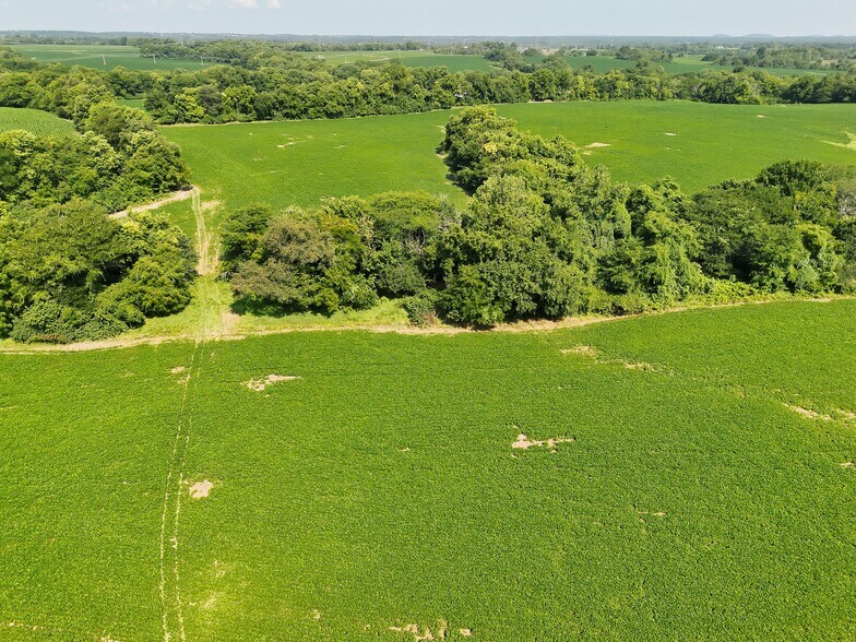 More Photos Of Walnut Hill Ln. (36.31+/- Acres), Elsberry Land For Sale