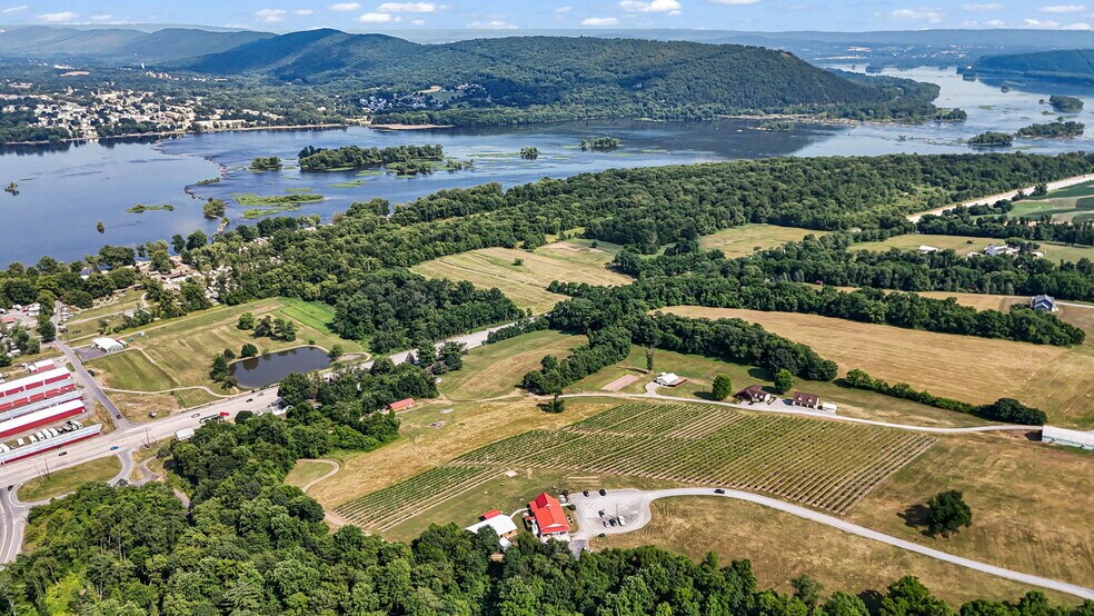 More Photos Of 3 Orchard Rd, Liverpool Winery Vineyard For Sale
